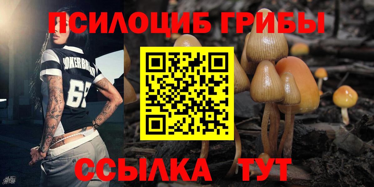 Псилоцибиновые грибы Psilocybine cubensis Сердобск
