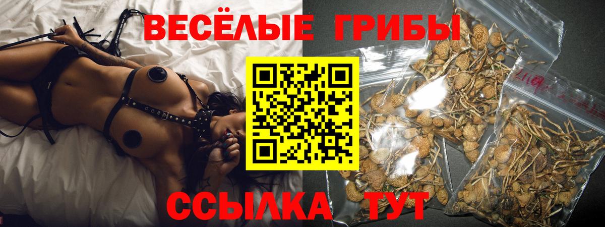 Псилоцибиновые грибы ЛСД  Вход с VPN  Сердобск 